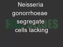 Neisseria gonorrhoeae  segregate cells lacking