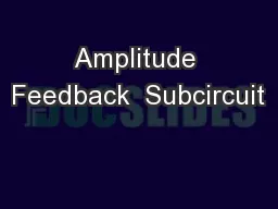 Amplitude Feedback  Subcircuit