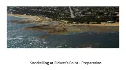 Snorkelling at Rickett’s Point - Preparation