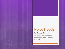 Horse Breeds By Cassidy Catrett