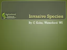 Invasive Species By C Kohn, Waterford WI