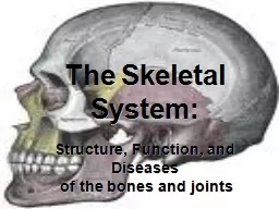 The Skeletal System: Structure, Function, and Diseases