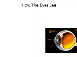 How The Eyes See The characteristics of image form
