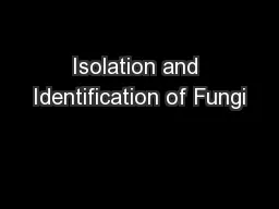 Isolation and Identification of Fungi