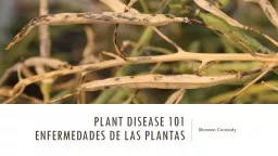 Plant Disease  101 Shannon Carmody