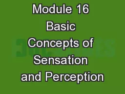 Module 16 Basic Concepts of Sensation and Perception