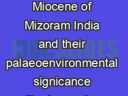 Trace fossils from Bhuban Formation Surma Group Lower to Middle Miocene of Mizoram India