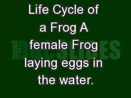 Life Cycle of a Frog A female Frog laying eggs in the water.