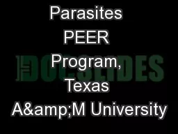 Parasites PEER Program, Texas A&M University