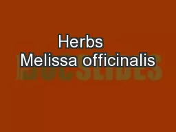 Herbs   Melissa officinalis 
