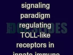 Novel signaling paradigm regulating TOLL-like receptors in innate immune