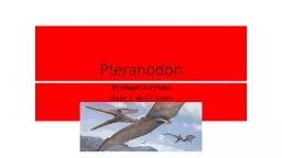 Pteranodon  By Megan and