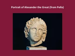 Portrait of Alexander the Great (from Pella)