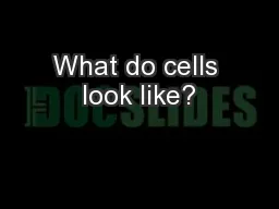 What do cells look like?