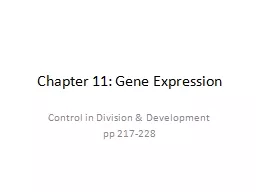 Chapter 11: Gene Expression