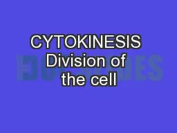 CYTOKINESIS Division of the cell