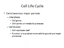 Cell Life Cycle Cells have two major periods
