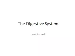 The  D igestive System continued