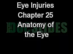 Eye Injuries Chapter 25 Anatomy of the Eye