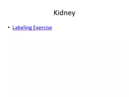 Kidney  Labeling Exercise