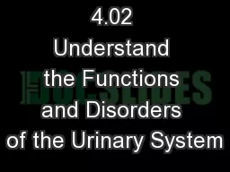 4.02 Understand the Functions and Disorders of the Urinary System