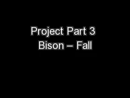 Project Part 3 Bison – Fall