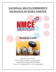 Castor Seed Production Trend in India