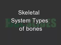 Skeletal  System Types of bones