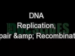 DNA Replication, Repair & Recombination