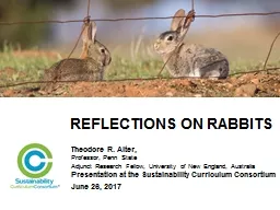Reflections on rabbits Theodore R. Alter,