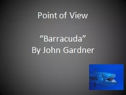 Point of View “Barracuda”