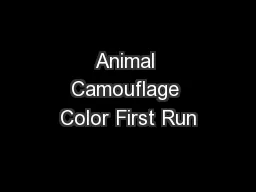 Animal Camouflage Color First Run