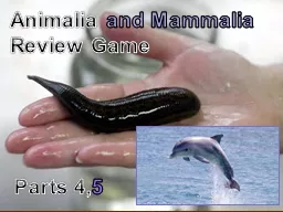 Animalia   and Mammalia Review Game