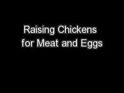 Raising Chickens for Meat and Eggs
