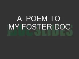 A  POEM TO MY FOSTER DOG