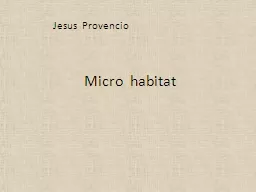 Micro  habitat  Jesus   Provencio