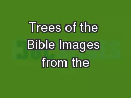 Trees of the Bible Images from the