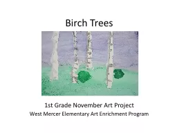 Birch Trees 1st Grade November Art Project