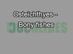 Osteichthyes - Bony fishes