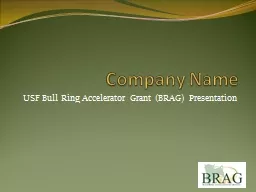 Company Name USF Bull Ring Accelerator Grant (BRAG) Presentation