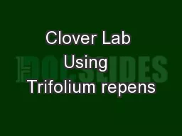 Clover Lab Using  Trifolium repens