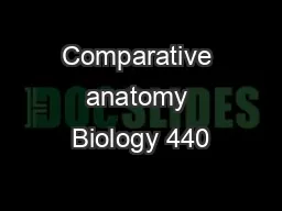 Comparative anatomy Biology 440