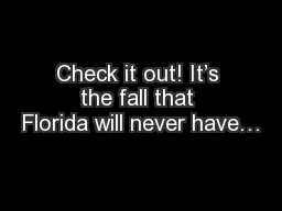 Check it out! It’s the fall that Florida will never have…