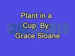 Plant in a Cup  By: Grace Sloane