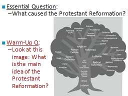 Essential Question : What caused the Protestant Reformation?