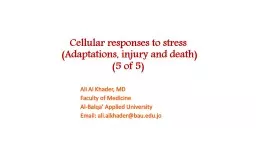 Cellular responses to stress