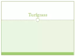 Turfgrass Establishment Seeding