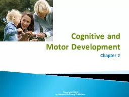 Cognitive and  Motor Development