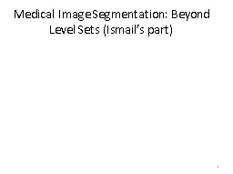 Medical Image Segmentation: Beyond Level Sets (Ismail’s part)