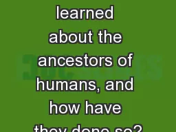 AIM: What have scholars learned about the ancestors of humans, and how have they done so?